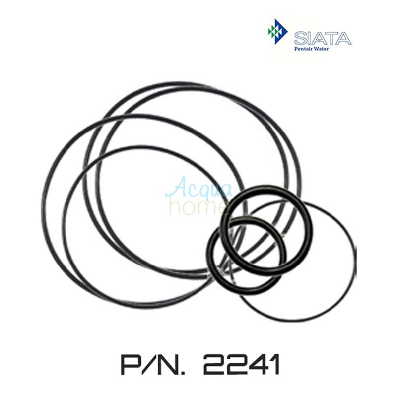 KIT O-RING PER V132 VALVOLA SIATA ( PENTAIR WATER ) (FINO AD ESAURIMENTO SCORTE)