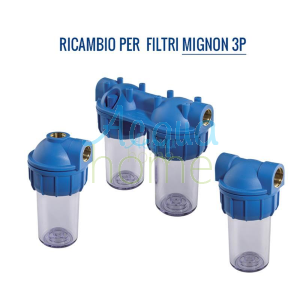 MIGNON PLUS L 3P/2P MFO HEAD - REPLACEMENT FOR ATLAS FILTRI CONTAINERS