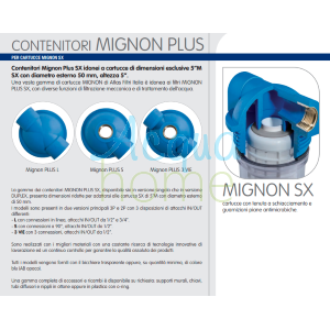 MIGNON PLUS L 3P/2P MFO HEAD - REPLACEMENT FOR ATLAS FILTRI CONTAINERS