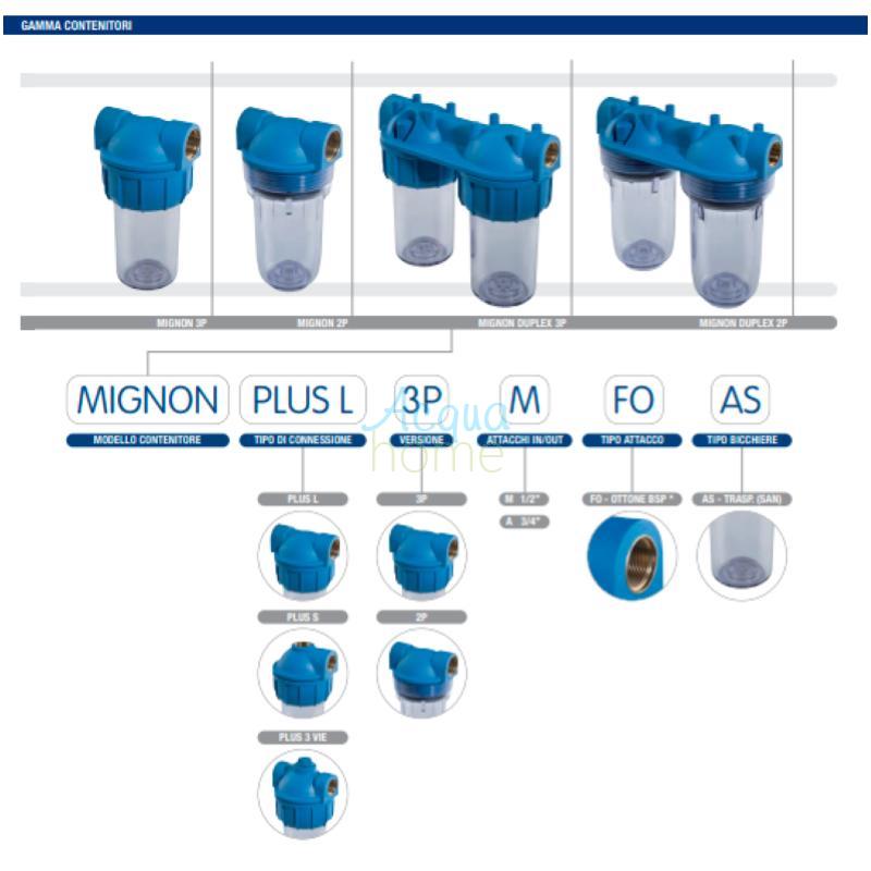 MIGNON DUPLEX PLUS 3P/2P MFO HEAD - REPLACEMENT | ATLAS FILTRI
