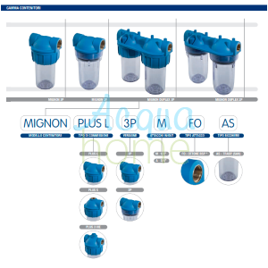 MIGNON DUPLEX PLUS 3P/2P MFO HEAD - REPLACEMENT | ATLAS FILTRI