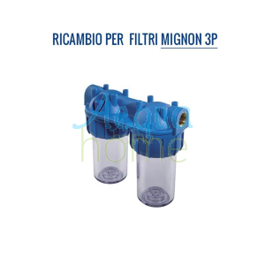 MIGNON DUPLEX PLUS 3P/2P MFO HEAD - REPLACEMENT | ATLAS FILTRI