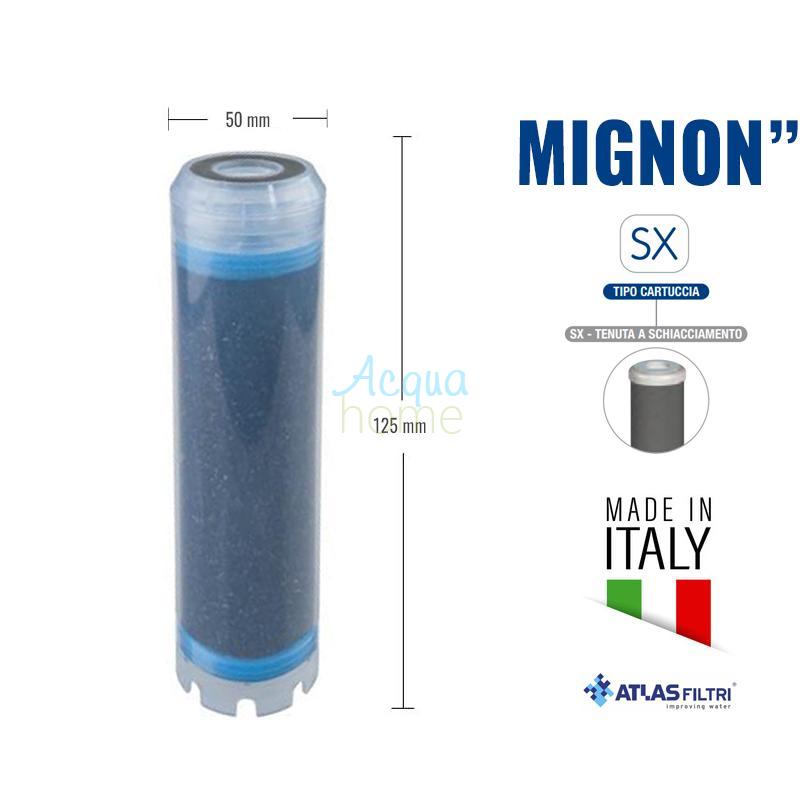 LA MIGNON SX TS - GRANULAR ACTIVATED CARBON CONTAINER | ATLAS FILTRI