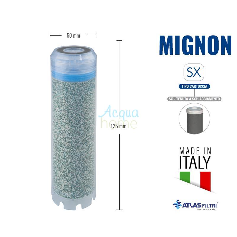 QA MIGNON LM SX TS - DEMINERALIZING MIXED BED RESIN CARTRIDGE | ATLAS FILTRI