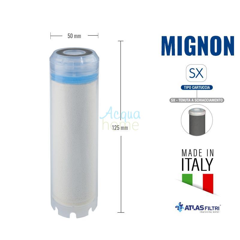 QA MIGNON AF SX TS - ANTI-NITRATE ANION RESIN CARTRIDGE | ATLAS FILTRI