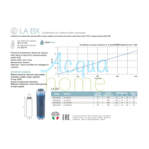 LA 5" BX TS - Container with Granular Activated Carbon | Atlas Filters