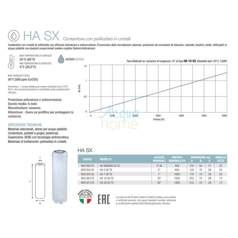 Ha sx (2)