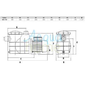 BERING JUNIOR SWIMMING POOL MOTOR PUMP 1 HP 14.5 M3/H 230 V II SINGLE-PHASE