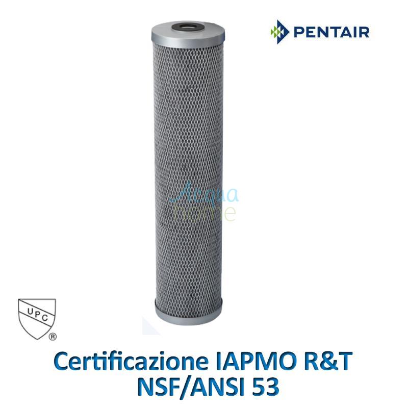 FILTRO FLOPLUS PROTECT® BIG 20" X 4,5 " 1 MICRON ELIMINAZIONE PFAS / PFOS DALL'ACQUA - PENTAIR 