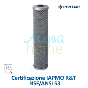 FILTRO FLOPLUS PROTECT® BIG 20" X 4,5 " 1 MICRON ELIMINAZIONE PFAS / PFOS DALL'ACQUA - PENTAIR 